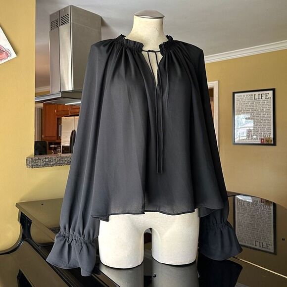 NWT Madewell Black Semi-Sheer Long Sleeve Tie Neck Ruffled Cuff Chiffon Blouse - Picture 4 of 12